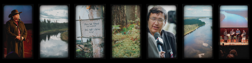 Collage from events in Kingston