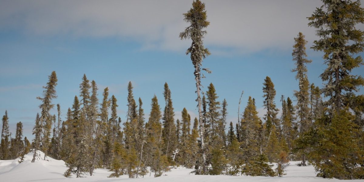 Wetum Winter Road